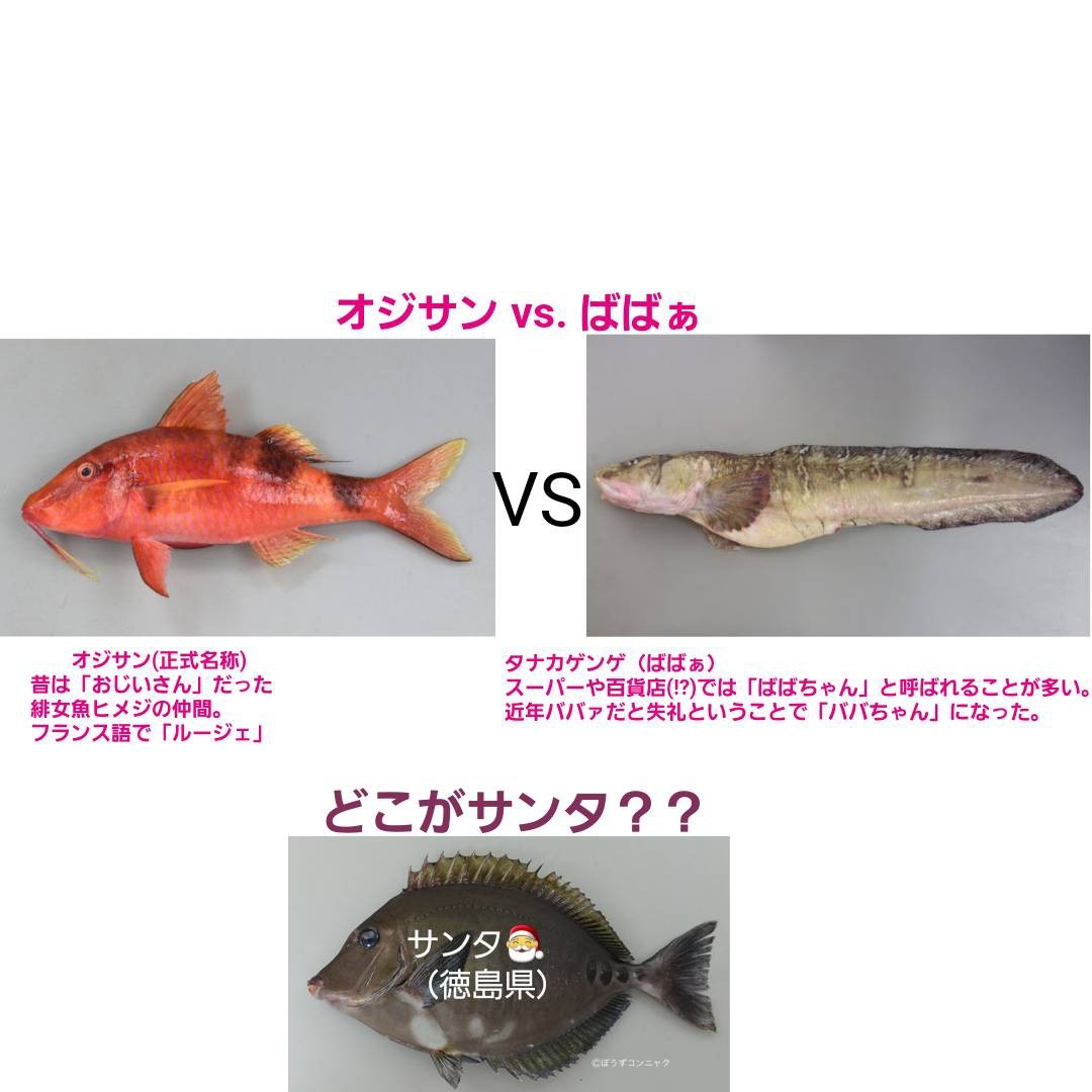 Everyone キキさん おじさん Vs ばばぁ Vs サンタ 変な呼び名の魚 三代目きりたん丼